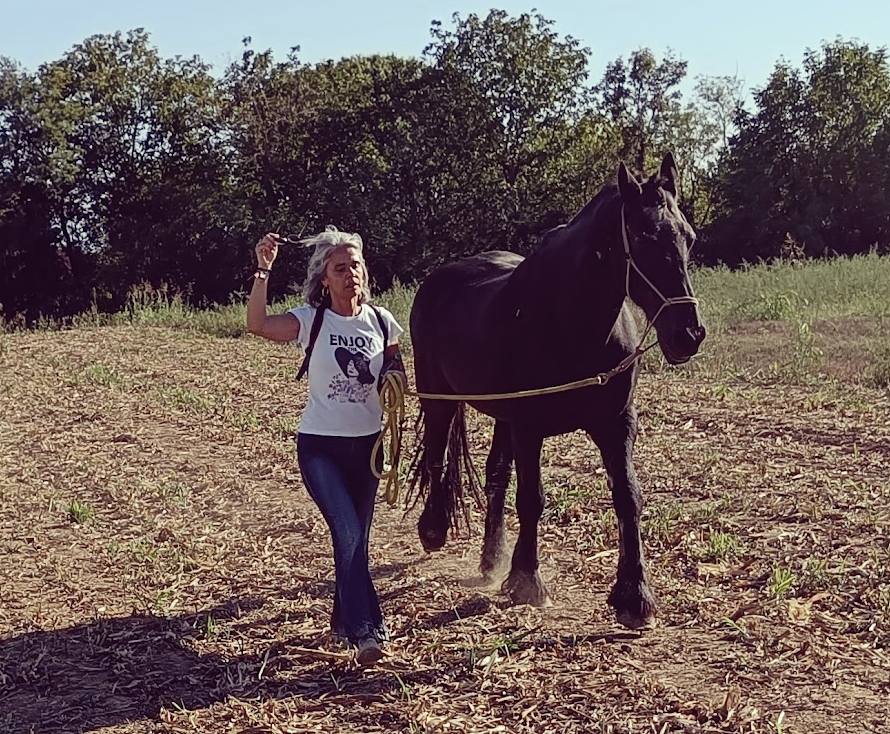 Beatrice con i cavalli