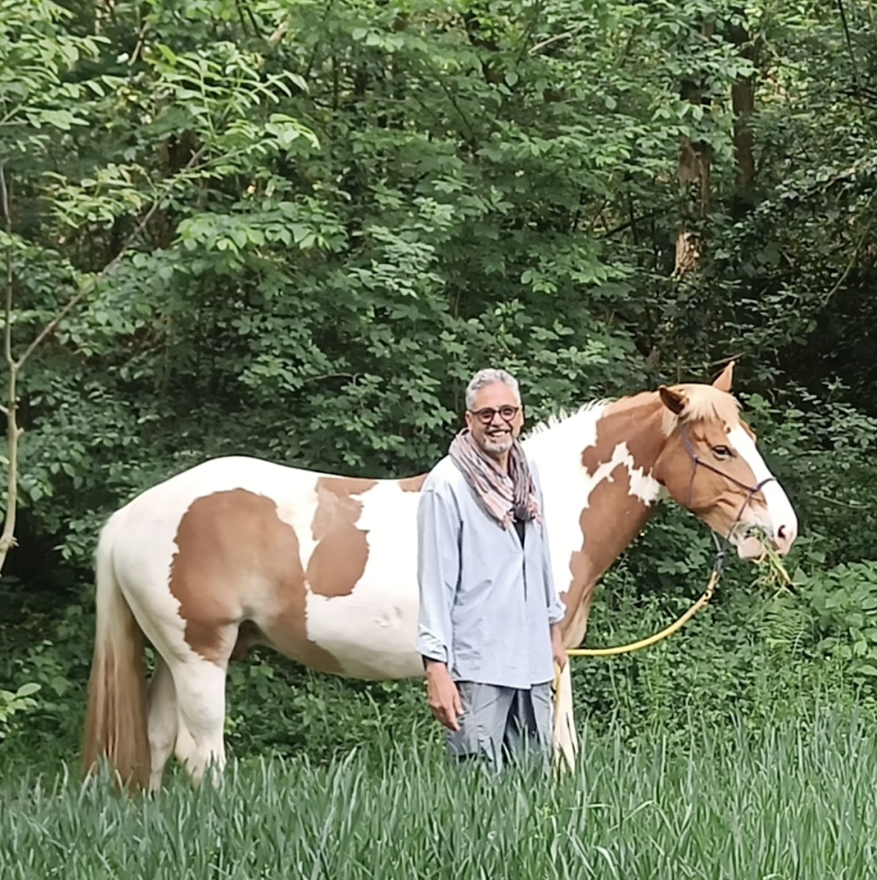 Cosimo con i cavalli