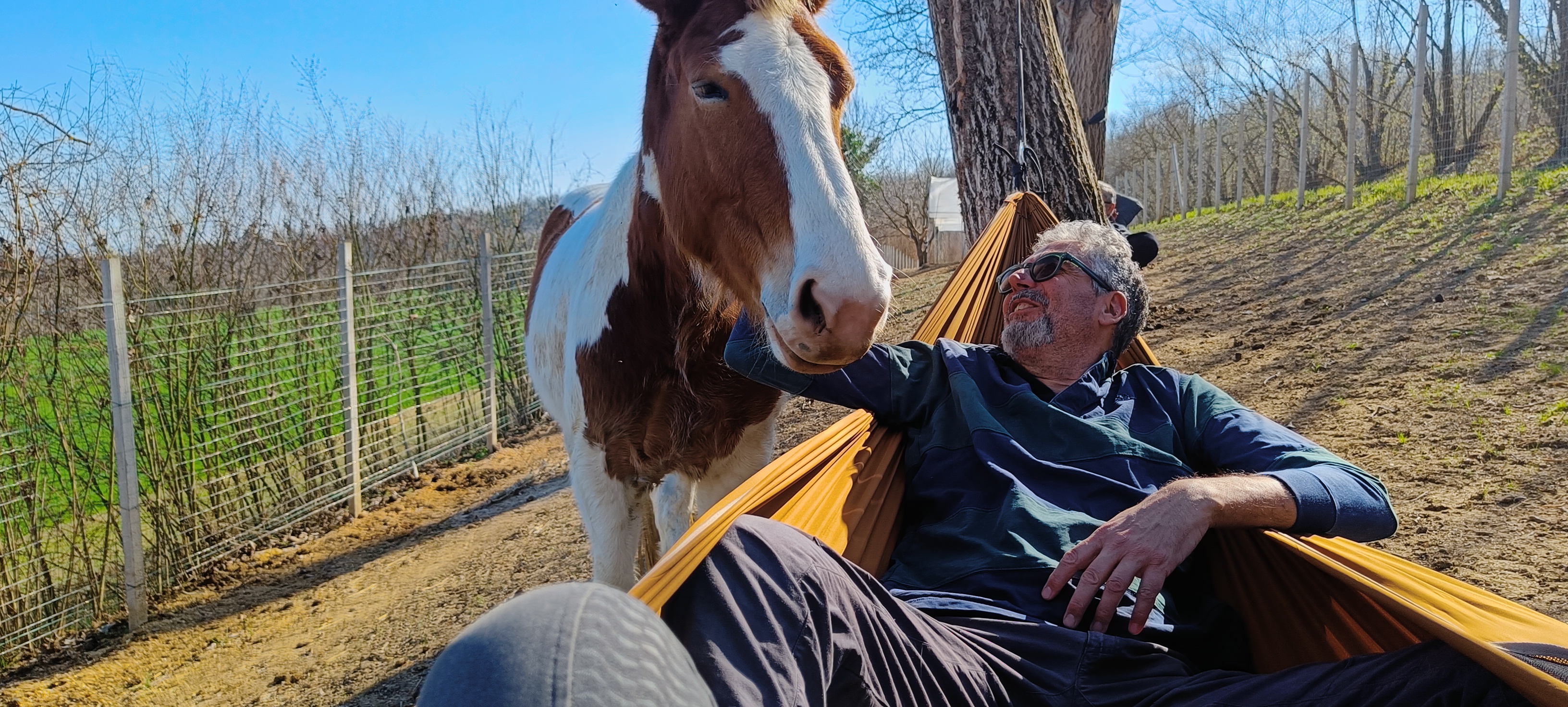 HorseWalking in campagna — immagine 8