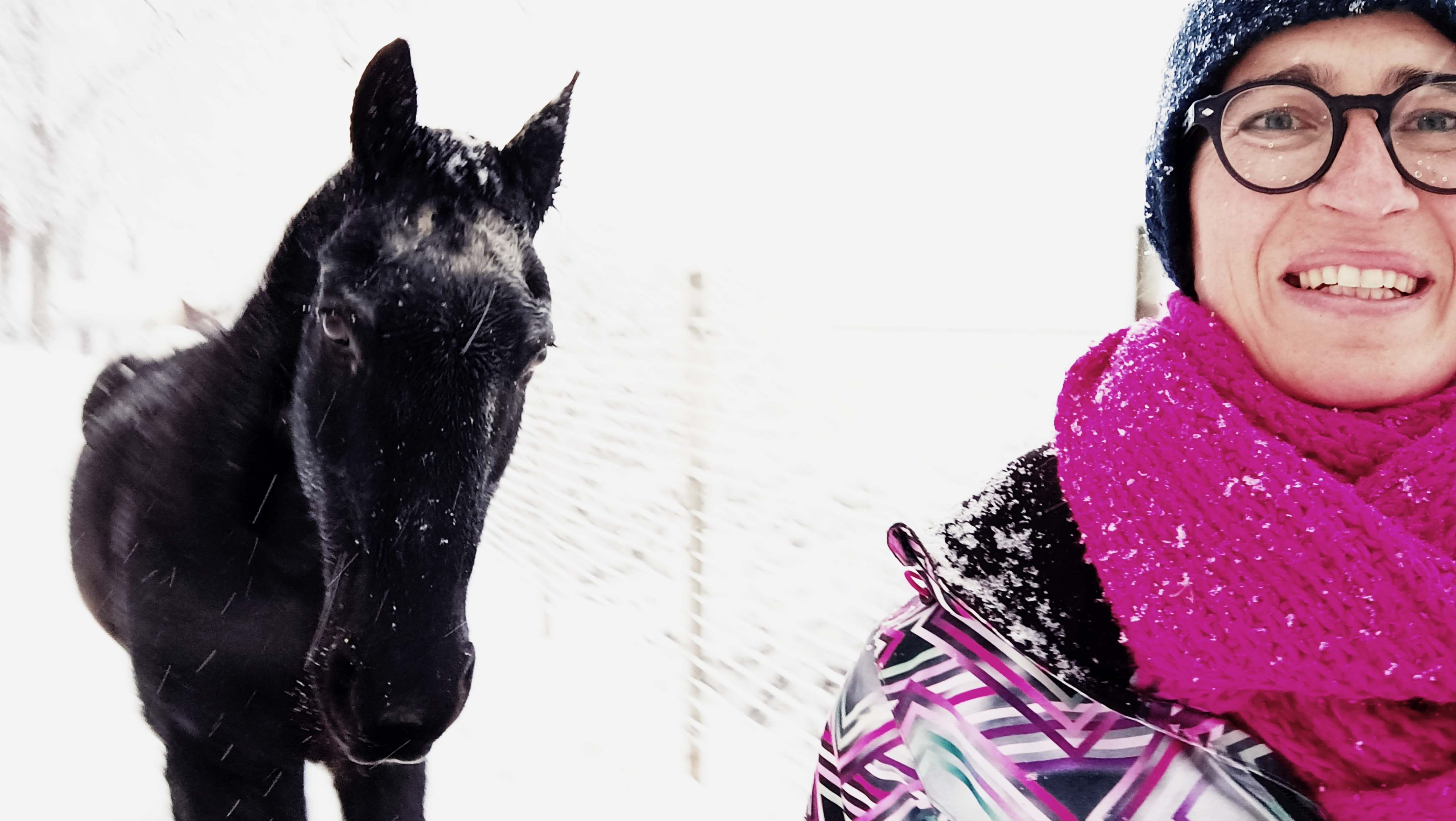 Irene con i cavalli